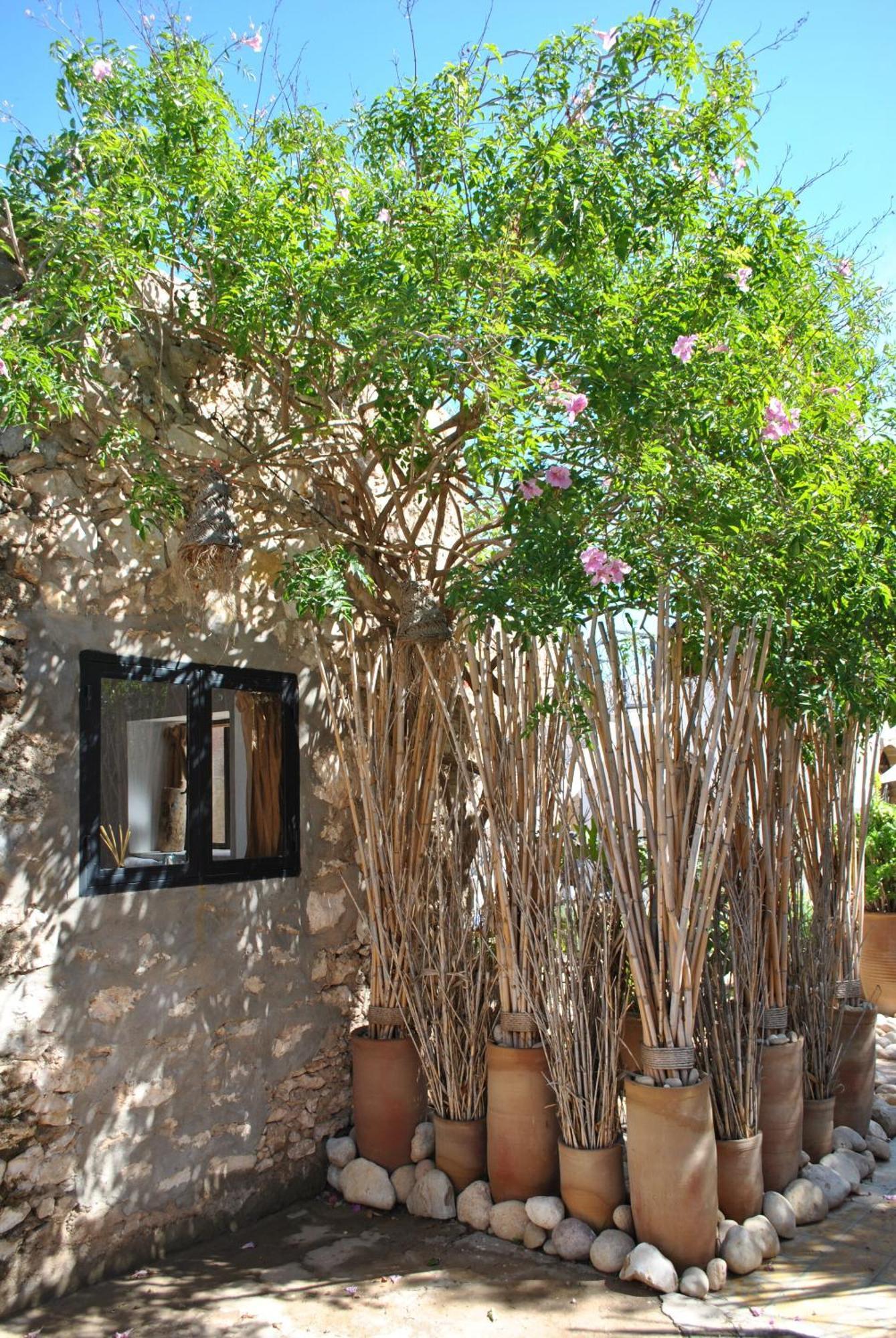 Maison Sidi Et Lalla Есувейра Екстериор снимка