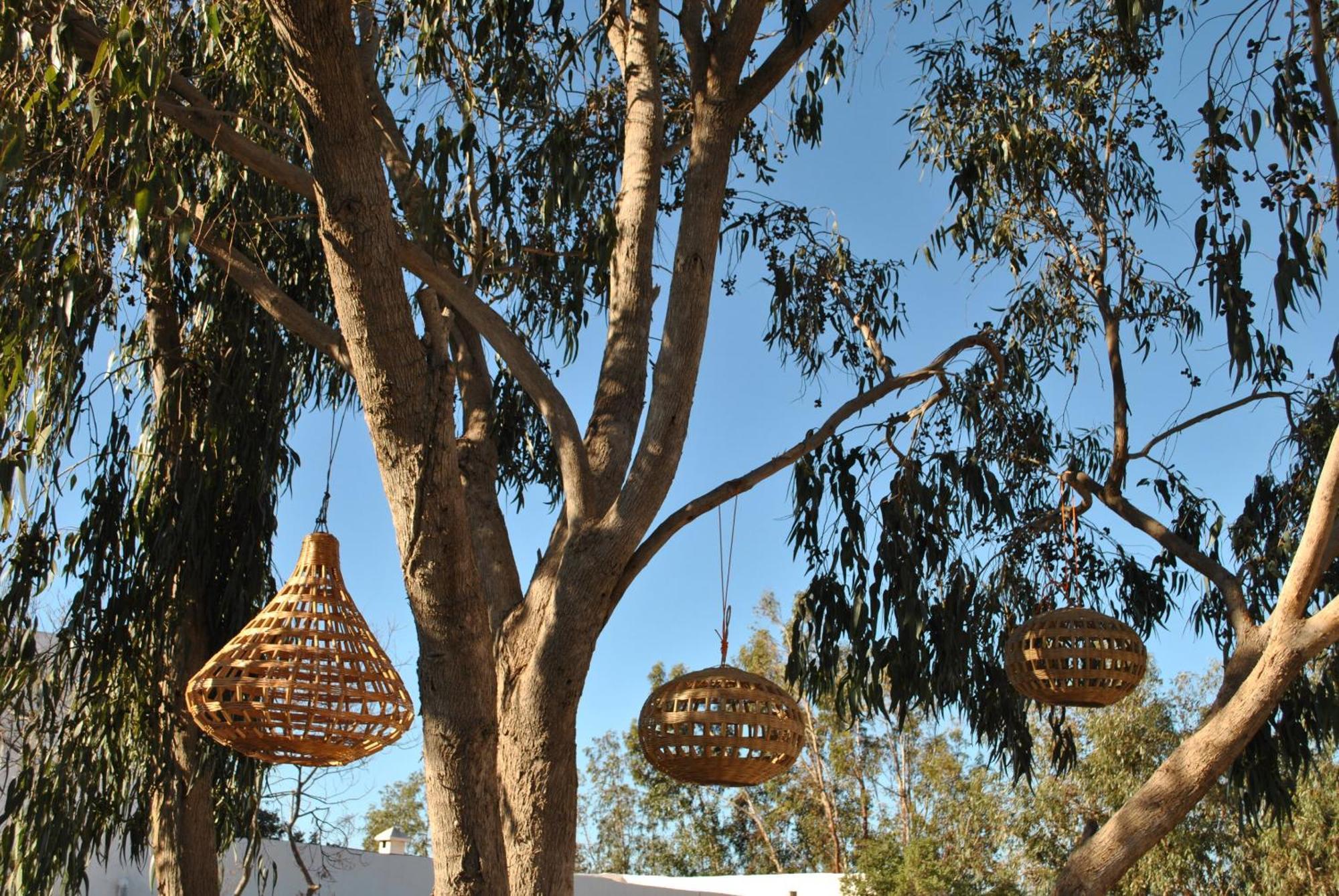 Maison Sidi Et Lalla Есувейра Екстериор снимка